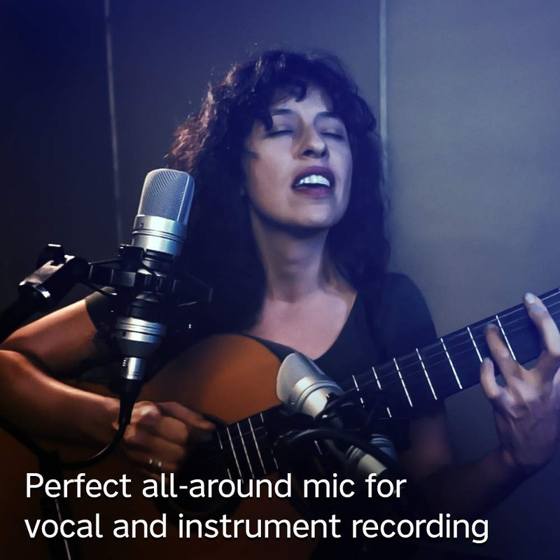 Tascam TM-80 Condenser Microphone