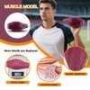 1lb Human Fat Muscle Replica with Base,Anatomic Model for Gym