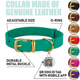 BRONZEDOG Leather Dog Collar with QR ID Tag Basic Pet Collars for Small Mini Dogs Cats Puppies (9-11 Inch (Pack of 1), Green & Gold Buckle)