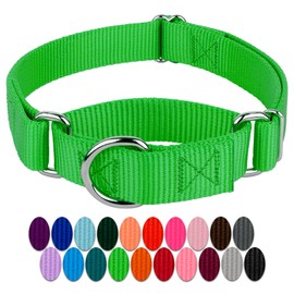 Country Brook Petz Martingale Dog Collar - Heavy-Duty Training Collar with No Buckle - Service Dog Collar for All Pups - Vibrant, Colorful Collection (Hot Green, 3/4 Inch, Small)