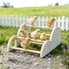 Chicken Perch with Swing & Mirror, Waterproof PVC Roosting Stand
