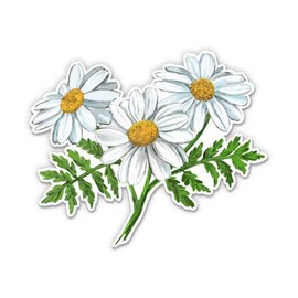 Pretty Wild Daisies - 3" Vinyl Sticker - for Car Laptop Water Bottle Phone - Waterproof Decal