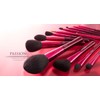 Kumano Brush Chikuhodo Passion Series Eyeshadow Brush PS-12 Hiroshima Makeup
