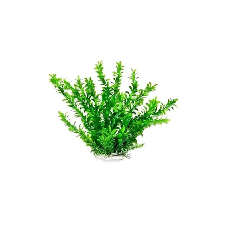 Aquatop PD-BH16 6 Inch Hygro-Like Aquarium Plant with Weighted Base