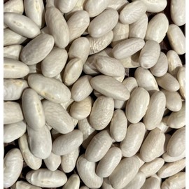 Sorana Cannellini Bean Italian Heirloom Seed Packet