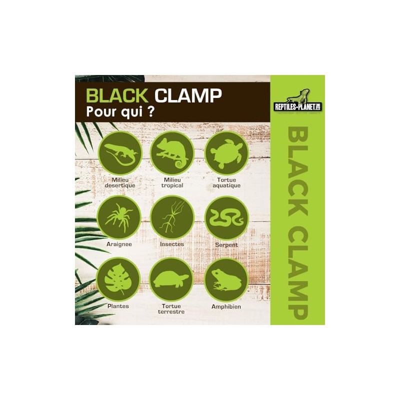 Reptiles Planet 18D 18cm Reptiles Amphibian Guard