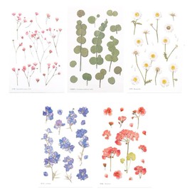 moin Moin 2204sl138 Seal, Pressed Flowers, Clear, Transparent, Random Set of 5 / Flowers, Flowers, Momiji, Ginkgo, Grass, Clover, Leafy Grass, Lavender, Violet, Sakura, Mimosa, etc