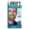 Just For Men Moustache & Beard Brush-In Colour Gel M-25