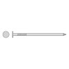 Simpson Strong Tie S16CN1 16d Smooth Shank Common Nails 3-1/2-Inch