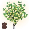 Lighted Branches for Vases - 30 Inch Lighted Eucalyptus Branches