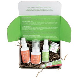 Earth Mama A Little Something for Baby Gift Box |Safe Skin Care Set Newborn Essentials for Baby Shower- Diaper Balm, Face Balm, Calendula Baby Oil, Ba