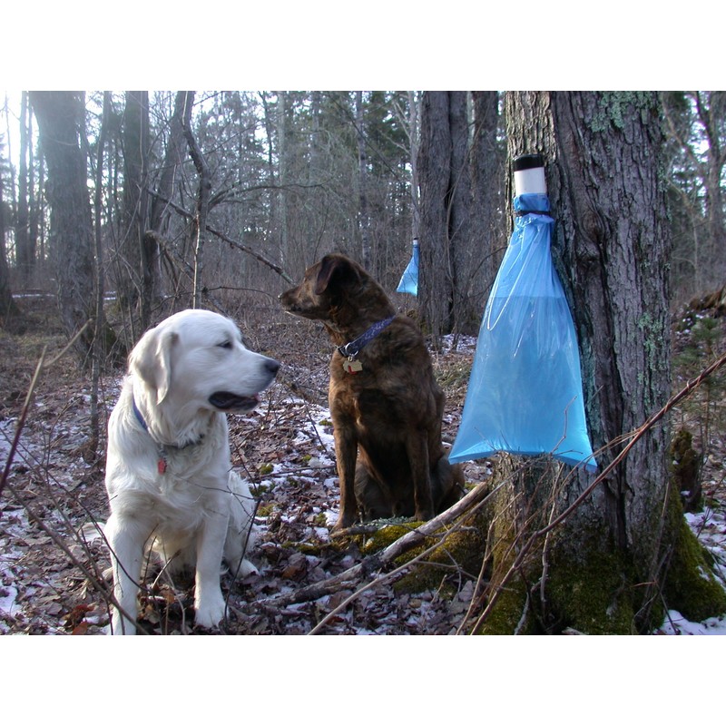 Maple Syrup Tapping Kit Trial Size with EZ Sap Sack