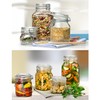 Bormioli Rocco Fido 17.5 Ounce Glass Storage Jars:, 17 Ounce,