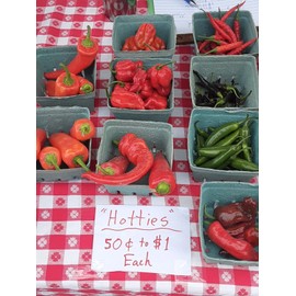 Chili Peppers “Motown Magic" Hot Chili Pepper Seeds x20 MIX – Michigan Grown! Organic, Non-GMO