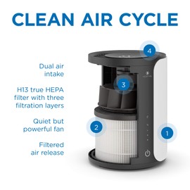 Medify MA-22 Genuine Replacement Filter for Allergens, Smoke, Wildfires, Dust, Odors, Pollen, Pet Dander | 3 in 1 with Pre-filter, True HEPA H13 and Activated Carbon for 99.9% Removal | 1-Pack