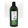 Eucalyptus & Spearmint, Bath and Body, Shampoo, 16 fl oz