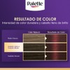 Palette Tinte para cabello Color Creme Castaño Rojizo 4-88, 50