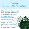 New Earth New Earth Drive - Natural Pre-Workout Energy Supplement,