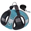 Ankilo Upgraded Harness with Leash Set, Escape Proof Dog Vest