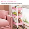 TOOLF 3 Tier Metal Rolling Storage Cart, Utility Cart No