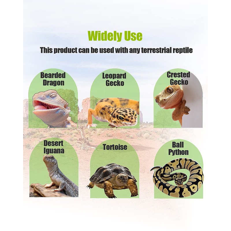 Helidrago Bearded Dragon Tank Accessories, Reptile Substrate Floor for Bearded