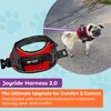 Joyride Harness 2.0 - The Original Side Ring No Pull