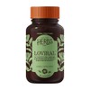 Loviral Softgels 60 ct. Herbs Etc.