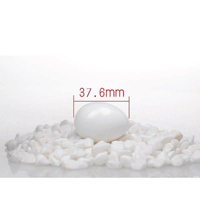 10pcs Solid Plastic Eggs Dummy Eggs For pigeons white