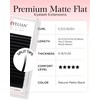 BEYELIAN Ellipse Flat Eyelash Extension, 16 Rows 0.20mm C Curl