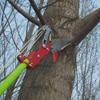 INTSUPERMAI 19 Feet Tree Pole Pruner Garden Tools Tree Saw