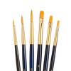Princeton Brush Set 9137 6-Pc Gold Taklon