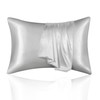 Silk Pillow Cases 2 Pack, ASXEU Mulberry Silk Pillowcase for