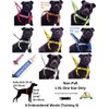 Dexil BLIND DOG White Colour Coded S M L Reflective