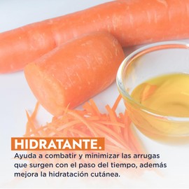Hebbe - Aceite De Zanahoria 100% Puro 50 ml Hidratante Reafirmante Regenerador Antiedad Cabello Brillo Y Suavidad