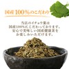 Kawamoya Chapo Ginko Leaf Tea, 1.4 oz (40 g) Ginko
