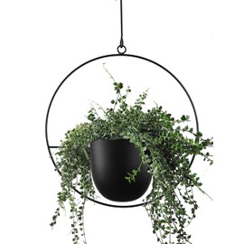 ABETREE Hanging Planter for Indoor Outdoor Plants Metal Mid Century Minimalist Wall Ceiling Plant Hanger, Hanging Flower Pot Basket Holder for Home Office Décor(Black)