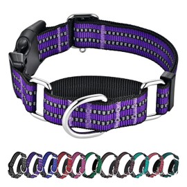Hikiko Martingale - Collar de perro de nailon reflectante con hebilla de liberación rápida, ajustable, antideslizante, para entrenamiento (XS, púrpura)