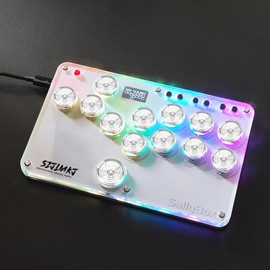 SZJLMKJ Mini Fightting game Keyboard controller SallyBox with LED Light Fighting Stick Controller WASD & Cherry mx Speed Silver Mechanical Switches Support PC Xinput