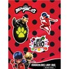Miraculous Ladybug Decals - Set of 3 Ladybug, Cat Noir,