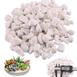 Tulpeed 10 lbs White River Rocks for Plants Indoor 0.3-0.8 Inch Fish Tank Rocks Large Aquarium Gravel Rocks Pebbles for Indoor Plants Landscaping Rocks Decorative Rocks for Potted Plants