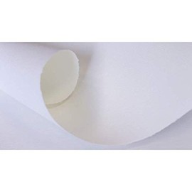Hahnemuhle Mould-Made Ingres Pastel Paper - White, 18.75 x 24.75 Inches, 1 Sheet