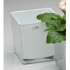 Sandra Rich 3 x Cube Glass Coloured Flower Pot Planter