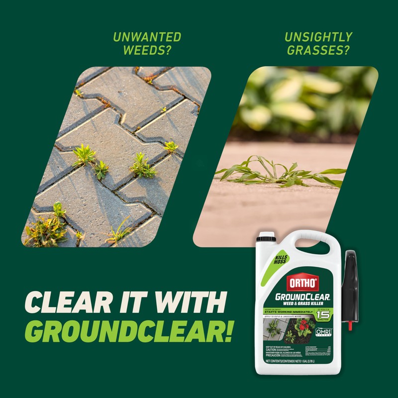 Ortho GroundClear Weed and Grass Killer with Comfort Wand, Kills