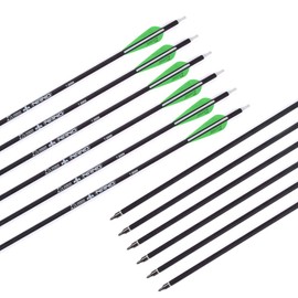 Yls Archery 26/28/30Inch Carbon Arrow Practice Hunting Arrows with100 Grain Removable Tips for Compound & Recurve Bow(Pack of 12) (26inch)