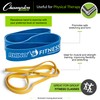 Champion Sports Stretch training band (1.75 inches).