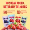 Smash Foods Single Serve Jam Packets | Variety 12-Pack |