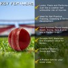 SialPro Soft Cricket Rubber Ball Set Indoor/Outdoor for Junior Youth