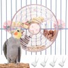 BNOSDM Bird Foraging Toy Creative Feeder Systems with Seed Food