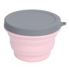 1L Portable Collapsible Silicone Bowl with Lid Food Storage Containers