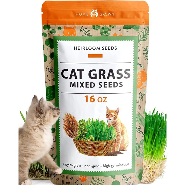 1 Pound Cat Grass Seeds for Indoor Cats & Pets